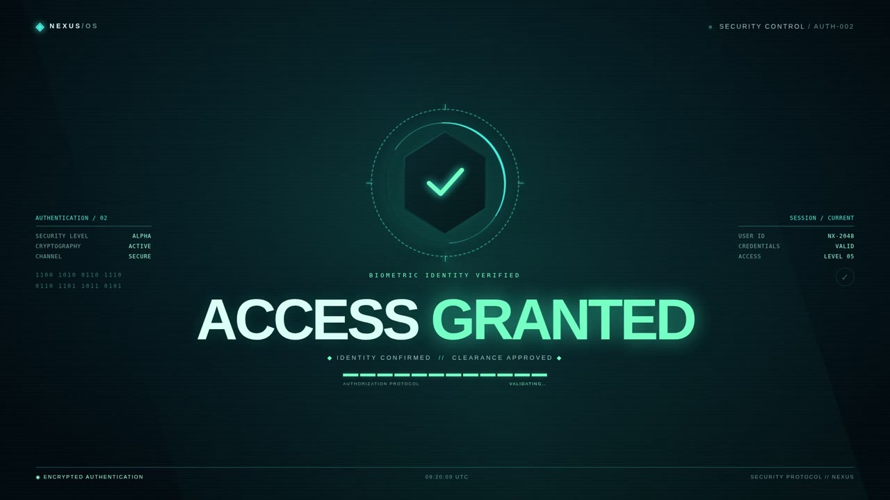 Access Granted — Protocollo Autorizzato (web_a019)